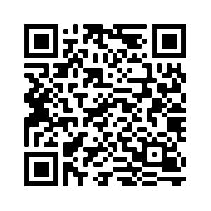 simpleledger:qqkxc363wh4vs522lxcyefelef29nmcvcqrdurlyec