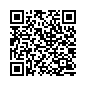 simpleledger:qqn3m53gxm8399em67yks9067wtpwqshhcyrdqyx25