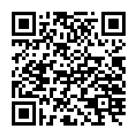 simpleledger:qqp538whthl5qscdxpv8790hu7n23rfz4gn54t59aw